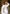 Abaya : Happiness Pure Belgian Linen